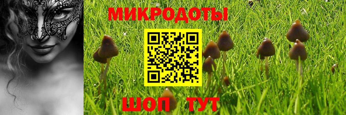 сколько стоит  Вход с VPN  Менделеевск  Псилоцибиновые грибы GOLDEN TEACHER 