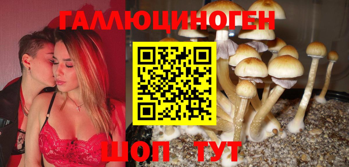 Псилоцибиновые грибы мухоморы Менделеевск